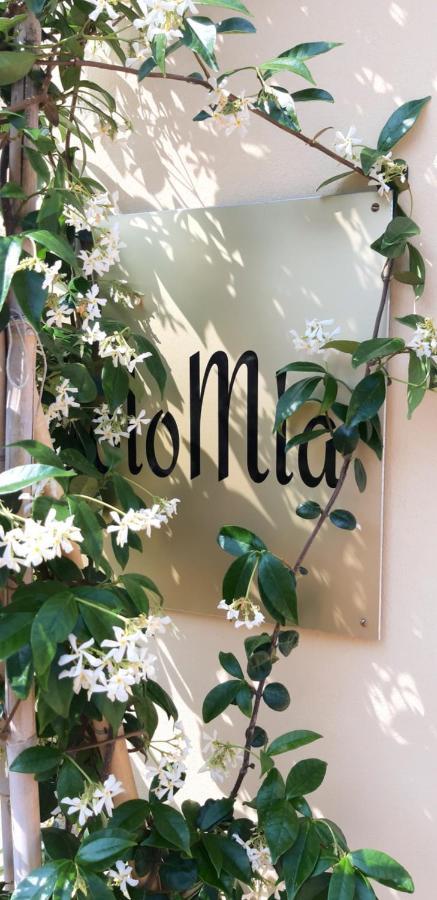 Hotel Solomia Panzano in Chianti Exteriér fotografie